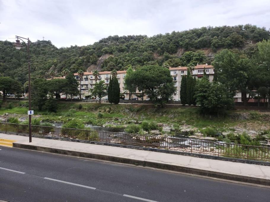 Residence Centrale Appartement 3 Pieces Garage Et Jardin 艾美丽·莱斯·班恩斯·帕尔 外观 照片