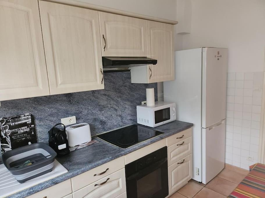 Residence Centrale Appartement 3 Pieces Garage Et Jardin 艾美丽·莱斯·班恩斯·帕尔 外观 照片